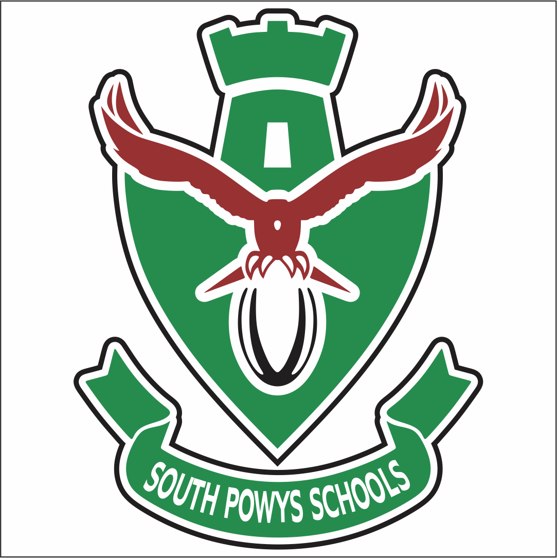 South Powys District