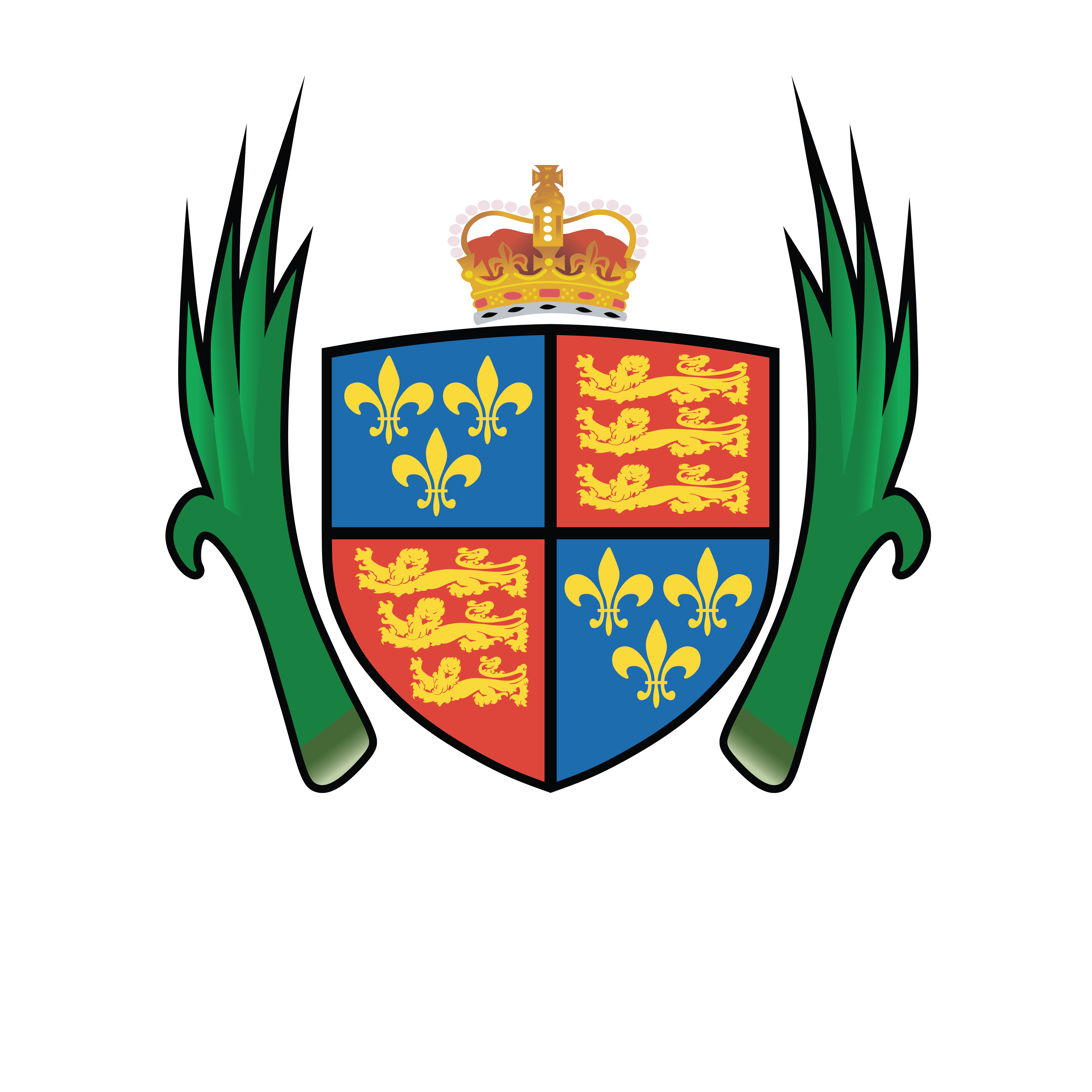 Llandovery RFC