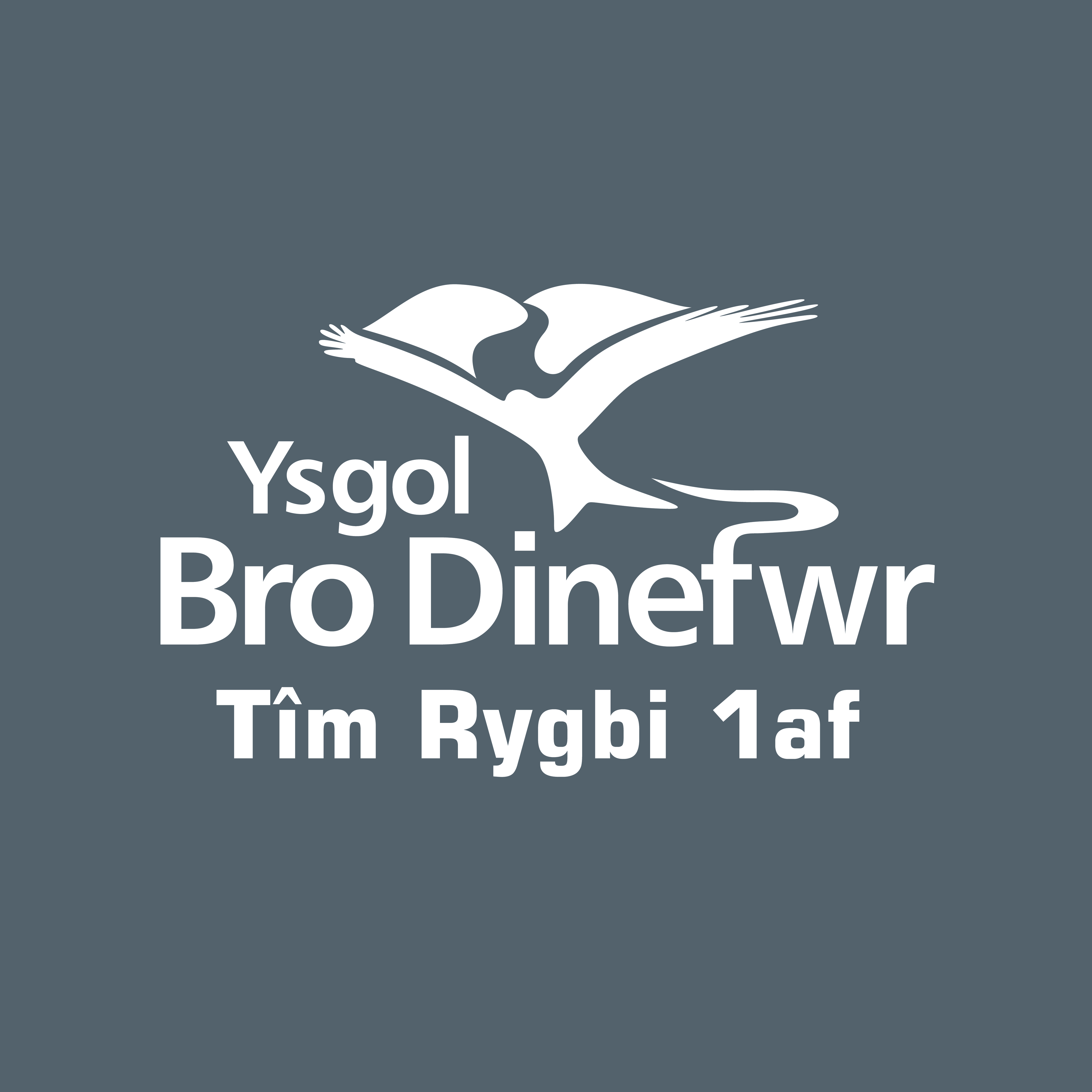 Ysgol Bro Dinefwr Rugby