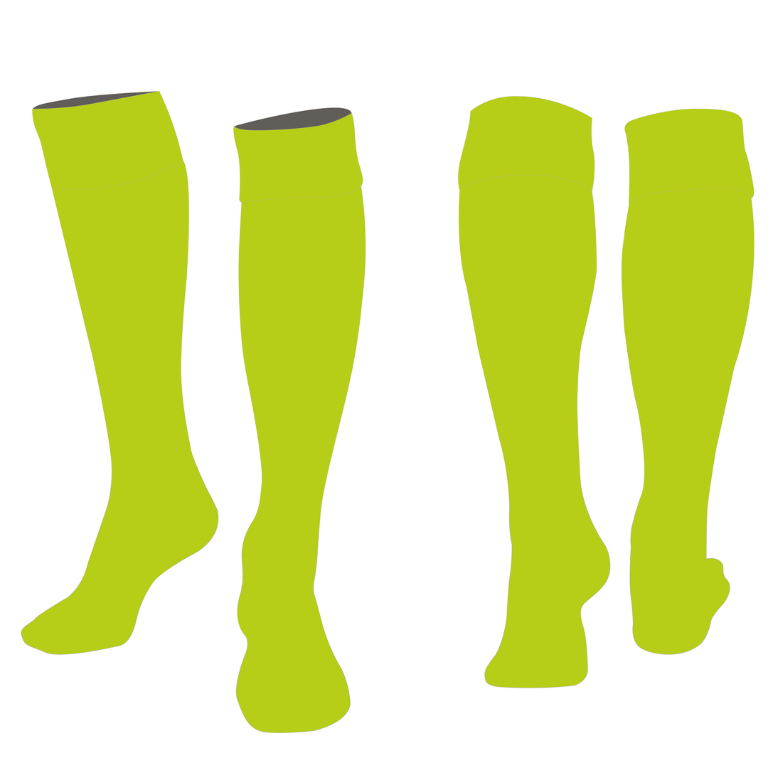 CSFA Girls GK Socks