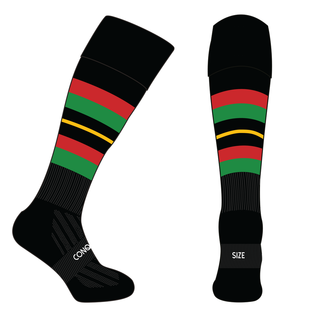 South Powys District Rugby Socks Kids