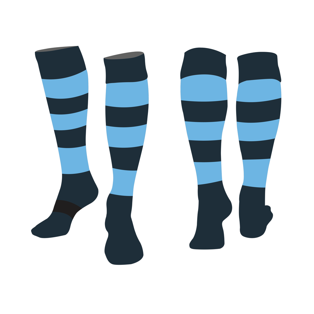 Treharris RFC Rugby Socks Kids