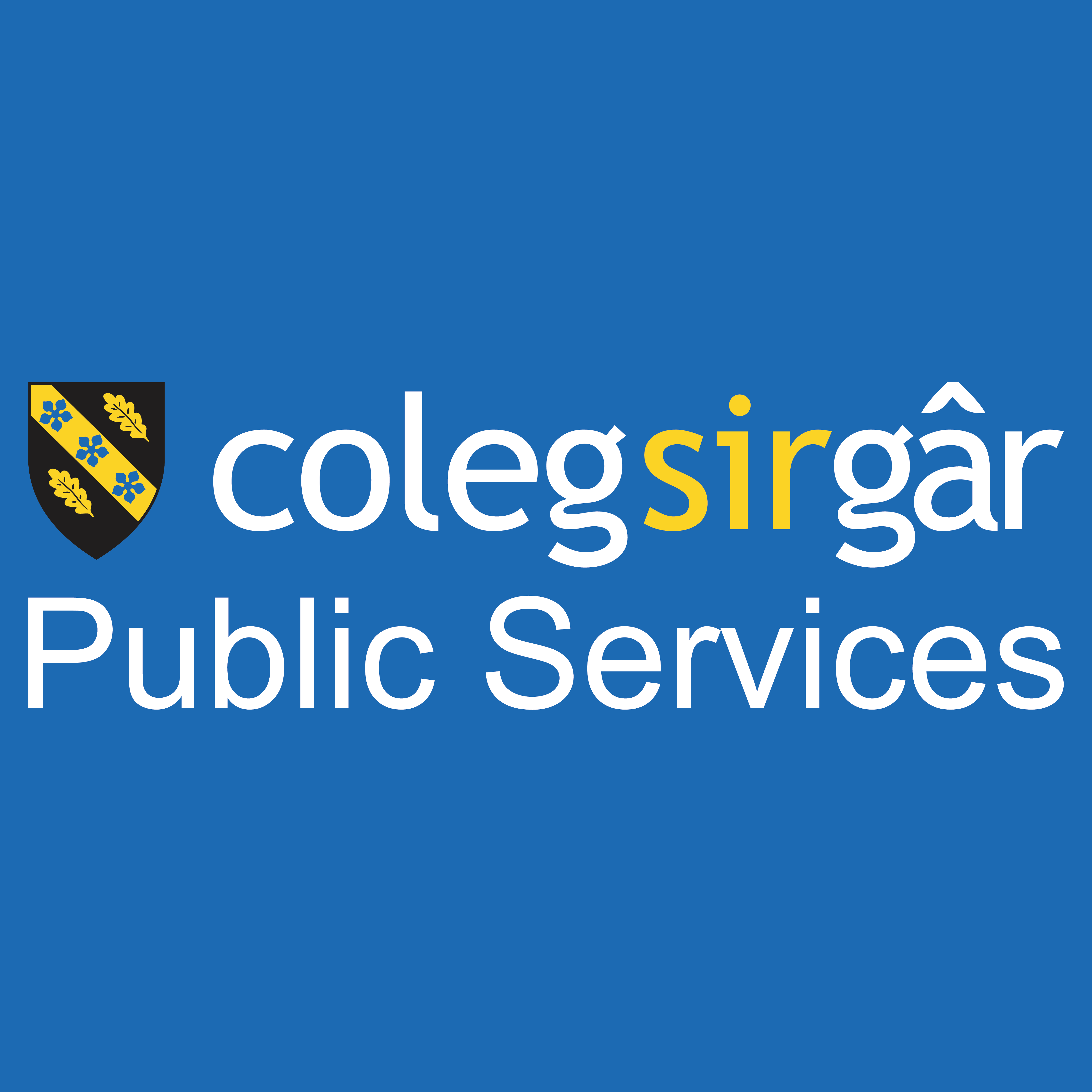 CSG Public Services