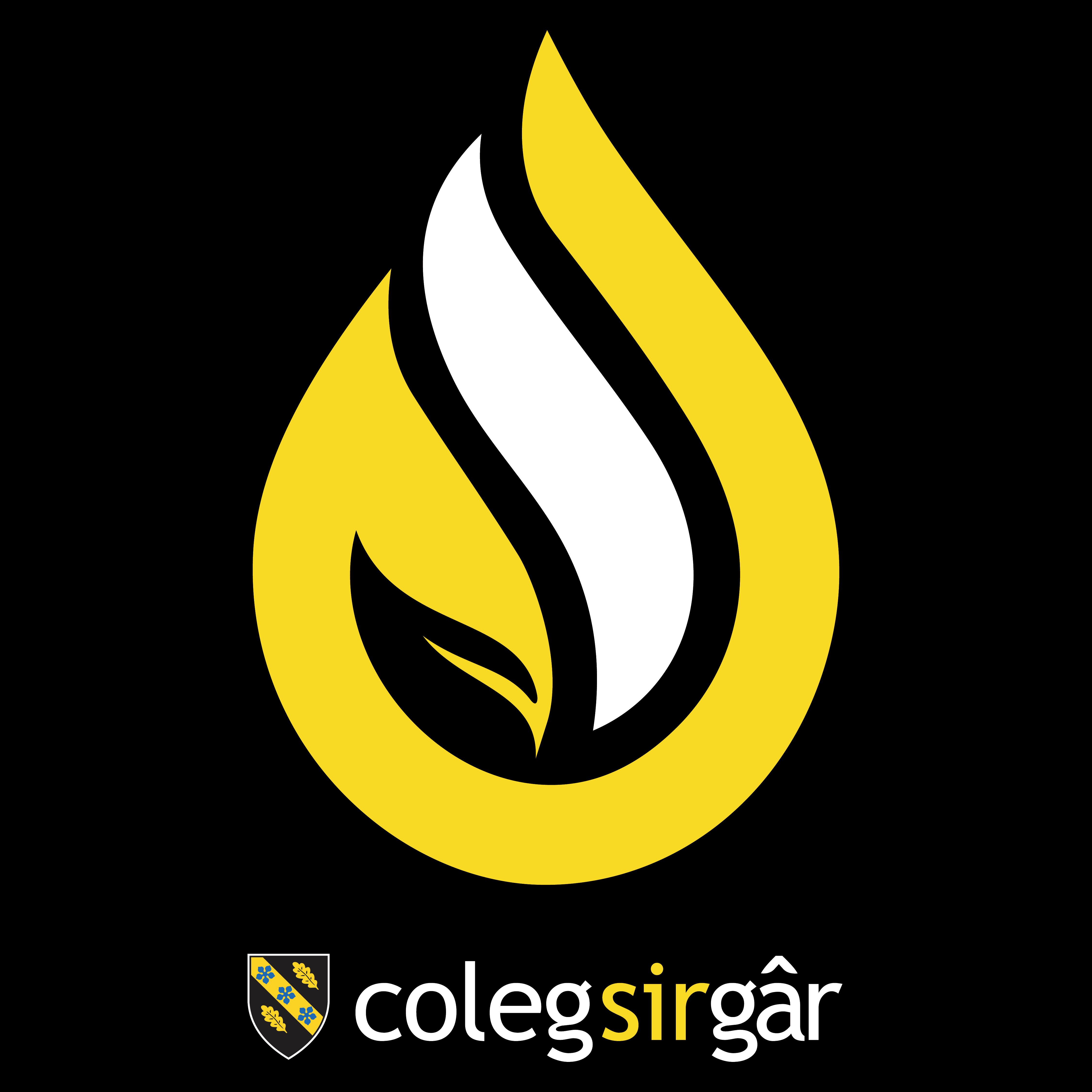 Coleg Sir Gâr Netball