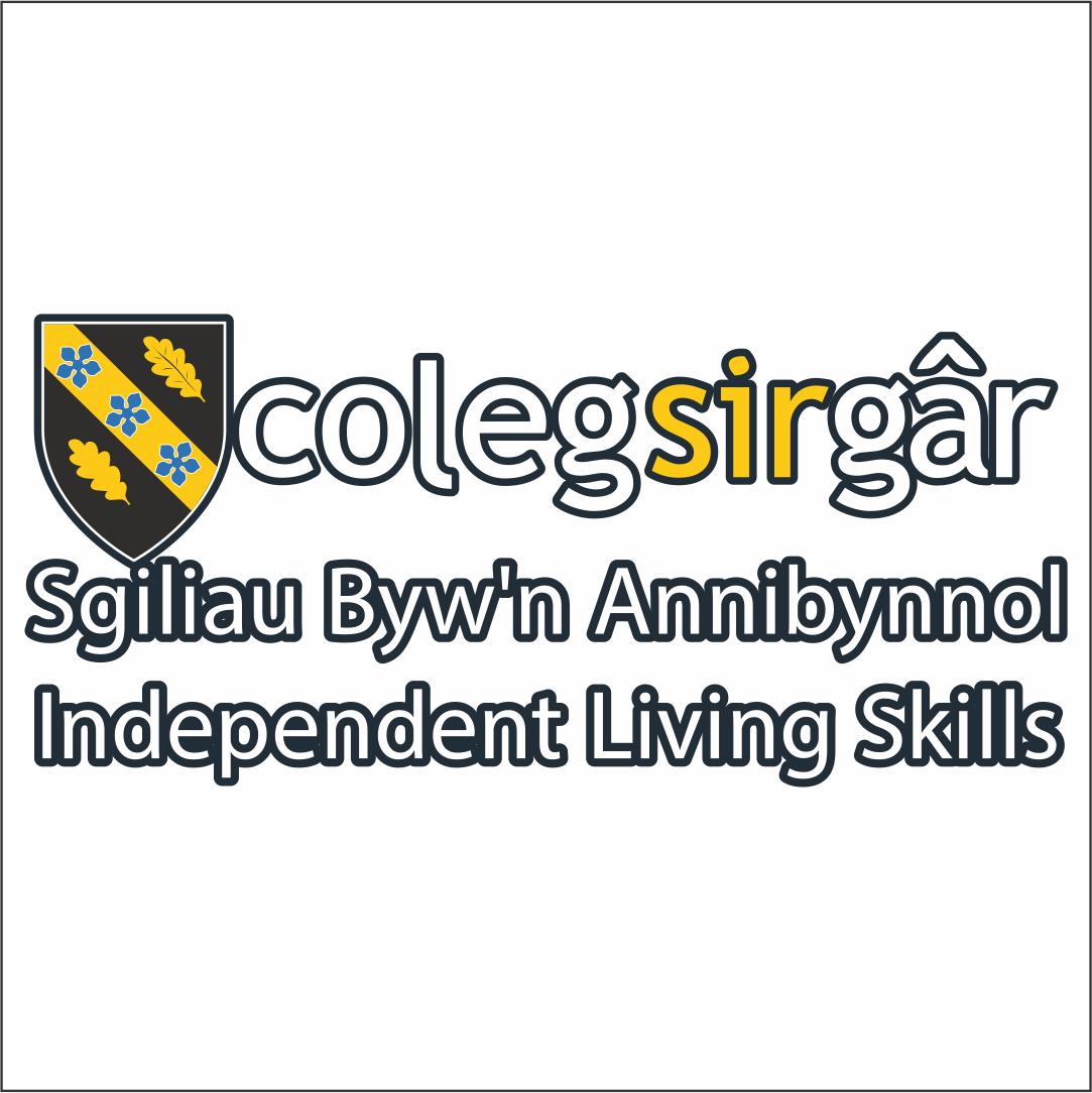 Coleg Sir Gâr - ILS Adults