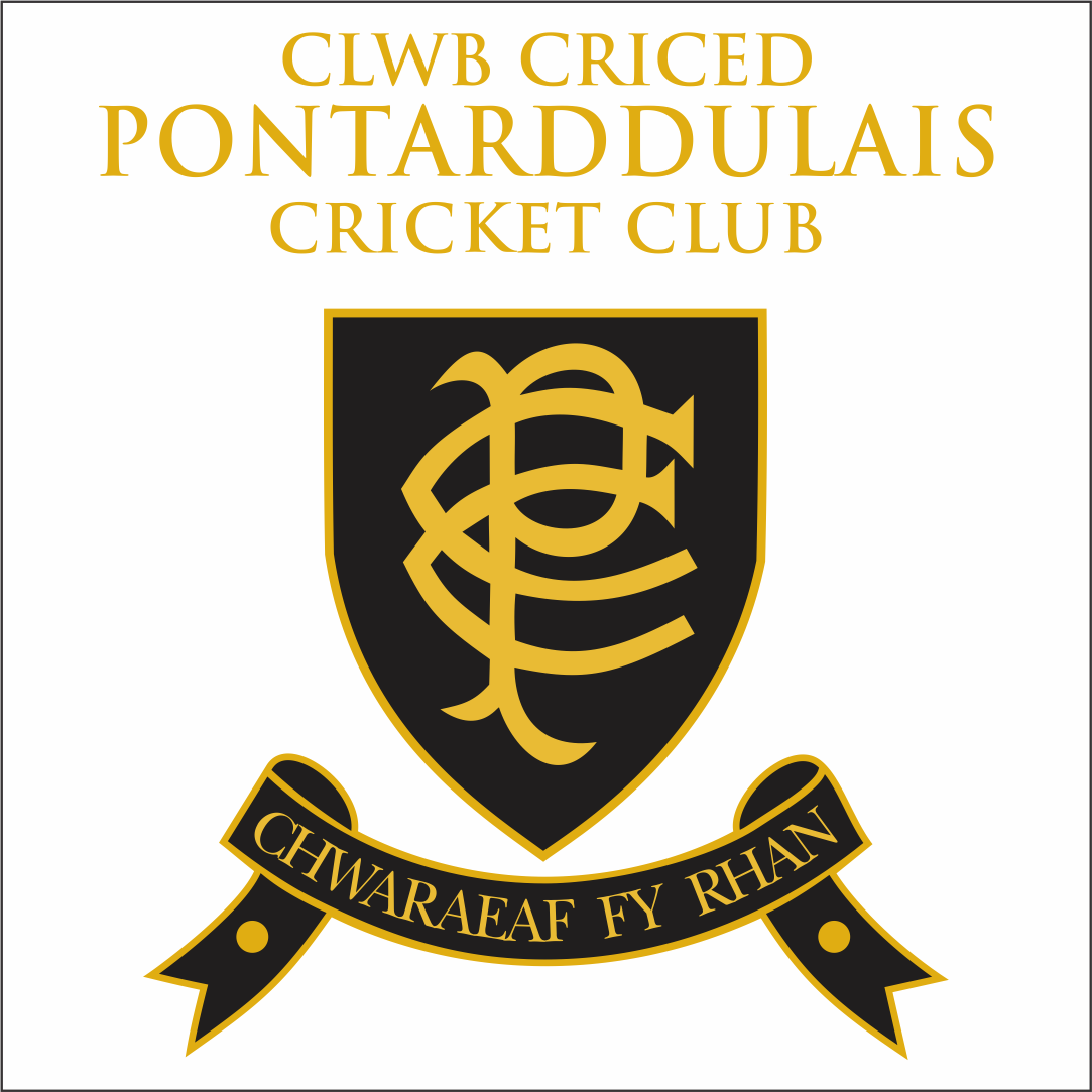 Pontarddulais Cricket - Kids