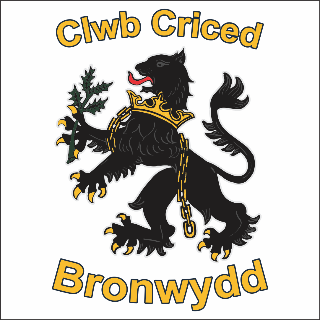Clwb Criced Bronwydd, Juniors Playing Kit - ADULTS