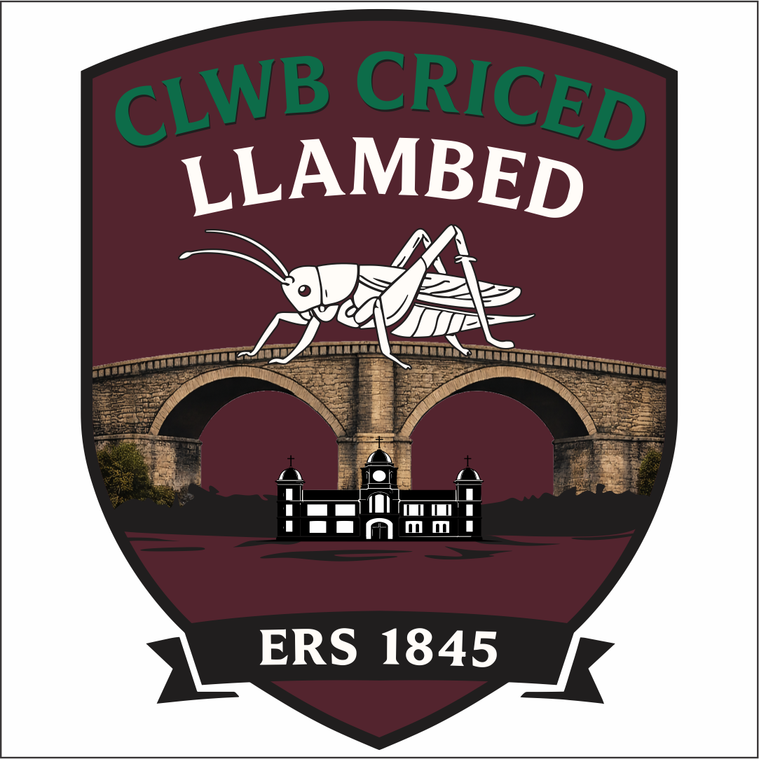 Clwb Criced Llambed - Adults