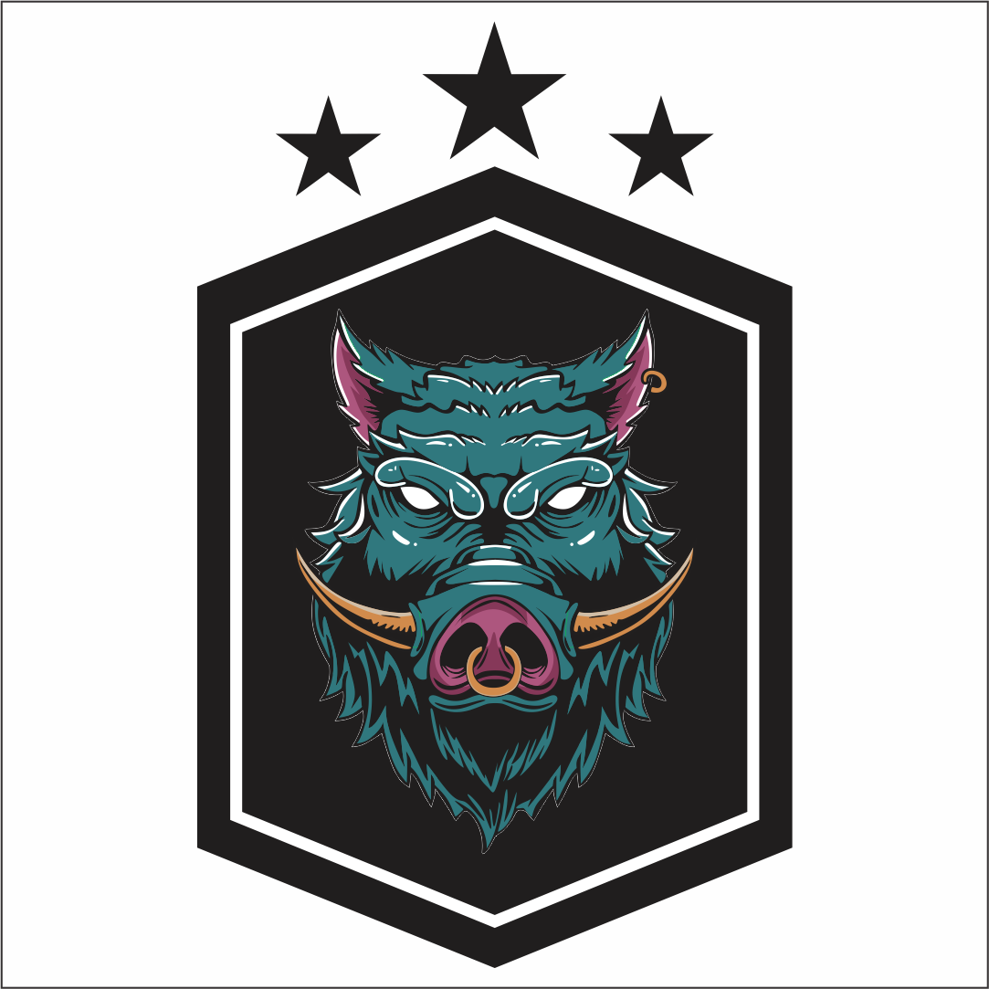 Wildboars RFC