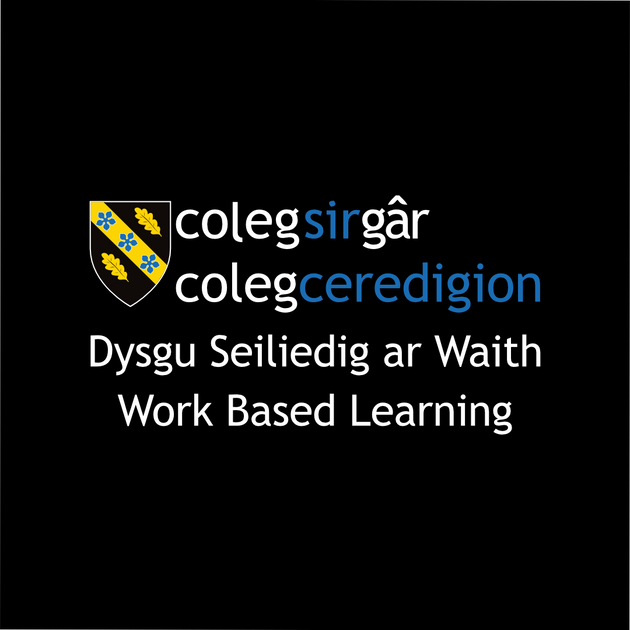 CSG Work Based Learning - Adults – Conquer Teamwear Limited