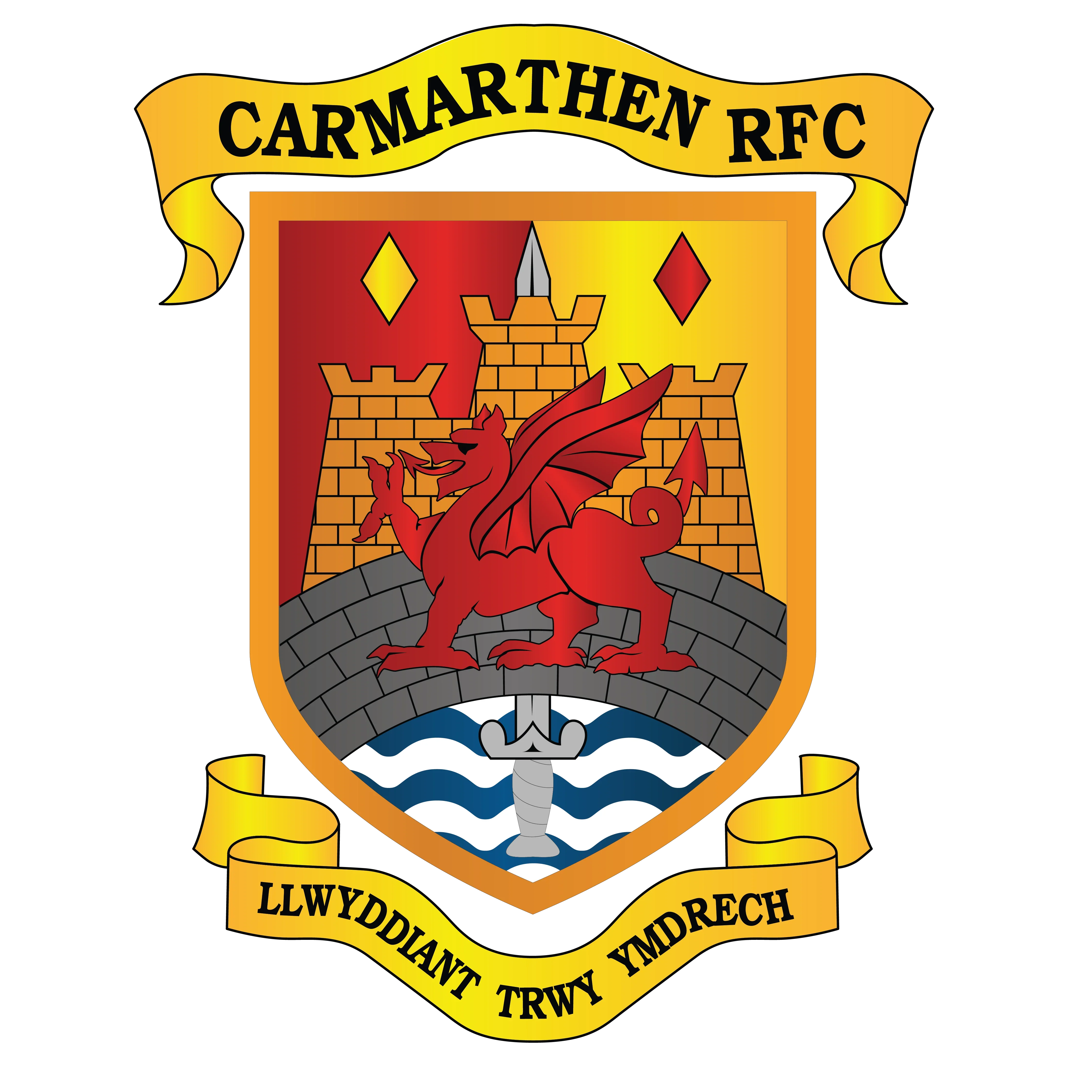 Carmarthen Quins RFC - ADULTS