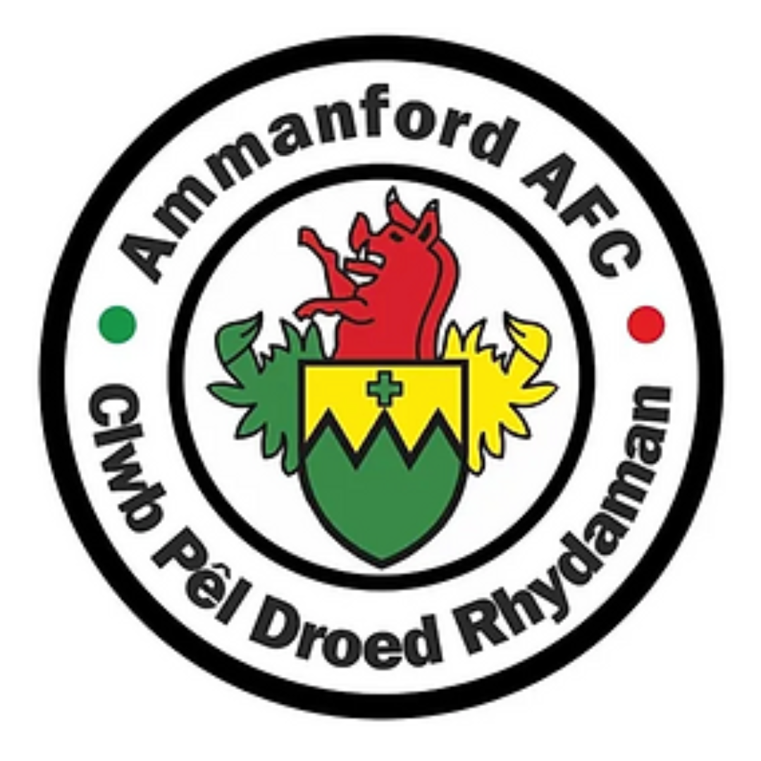 U6-7s Ammanford Juniors AFC