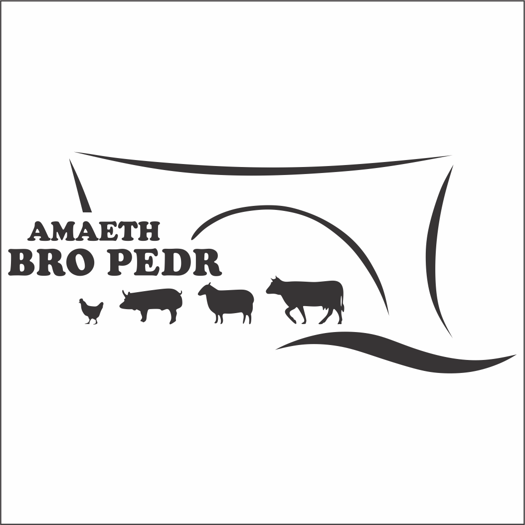 Ysgol Bro Pedr Amaeth - Adult Sizes