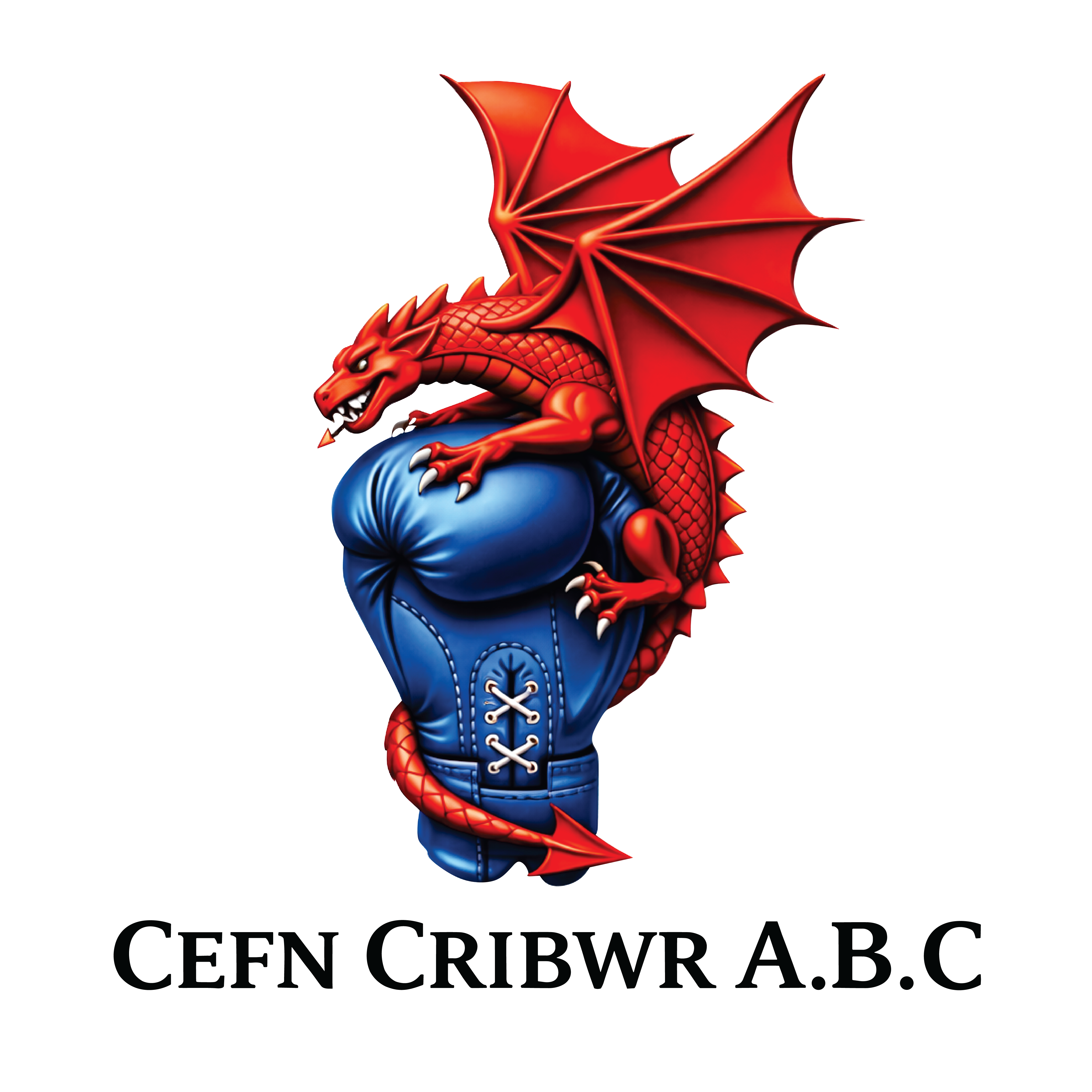 Cefn Cribwr Boxing - KIDS