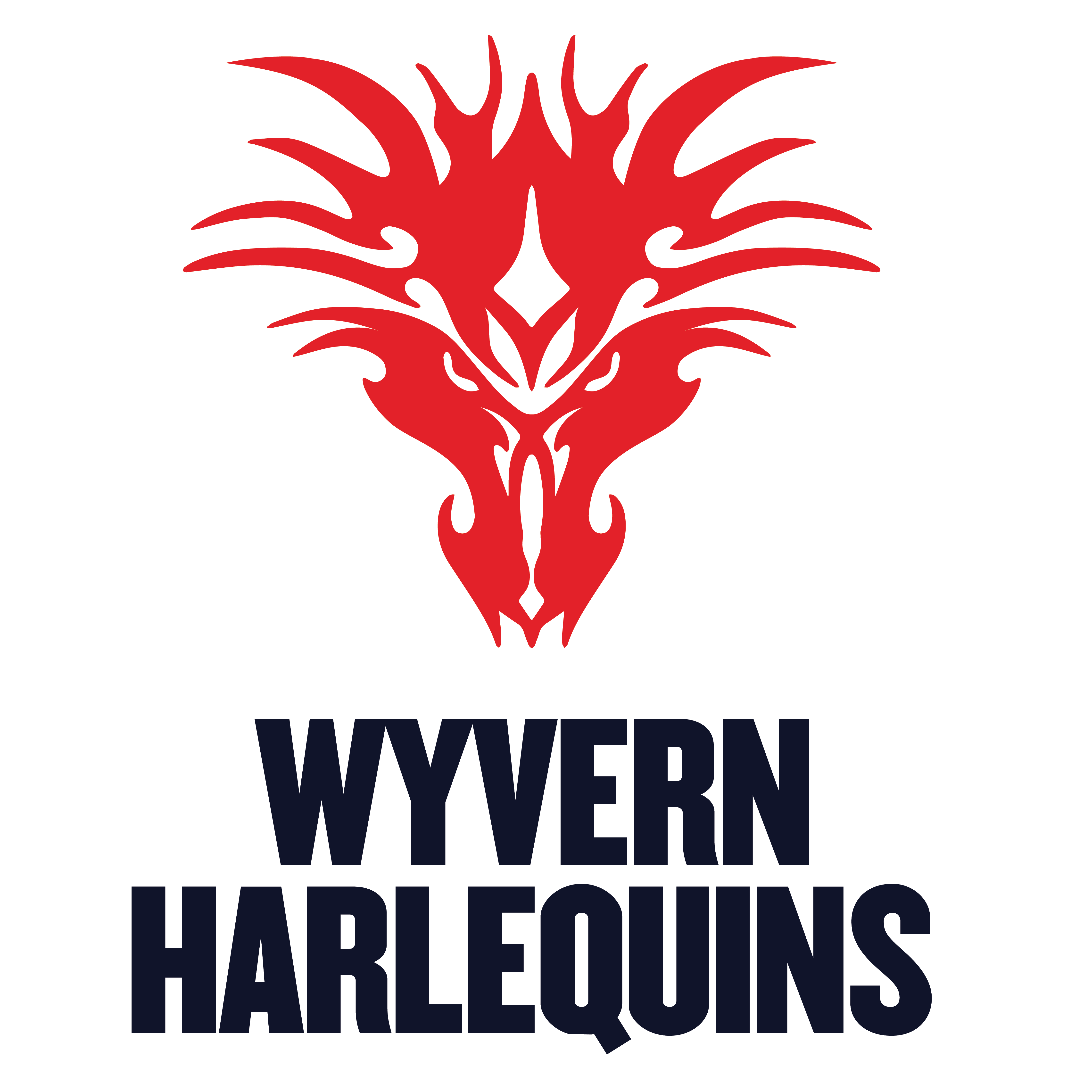 Wyvern Harlequins - KIDS