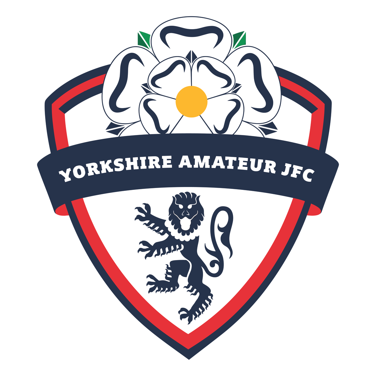 Yorkshire Amateur JFC - Kids