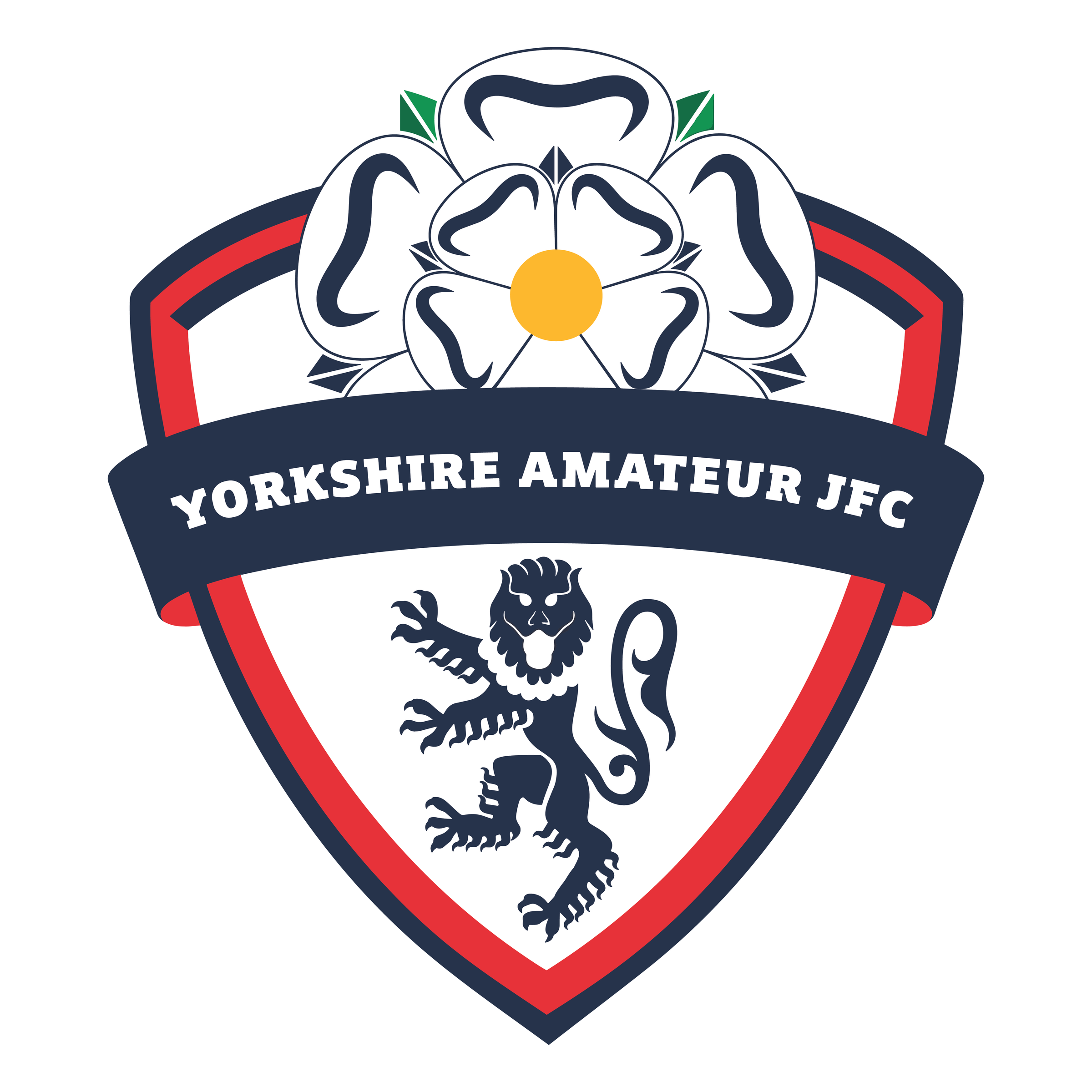 Yorkshire Amateur JFC - Adults