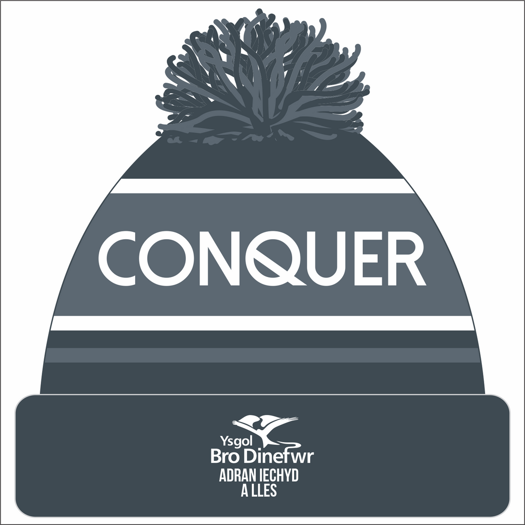 Ysgol Bro Dinefwr - Adran Iechyd A Lles Bobble Hat (Adults)