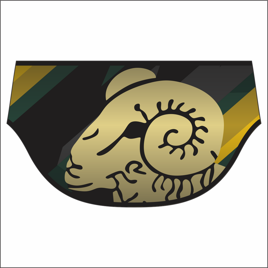 Hafodyrynys RFC Swimming Trunks Kids