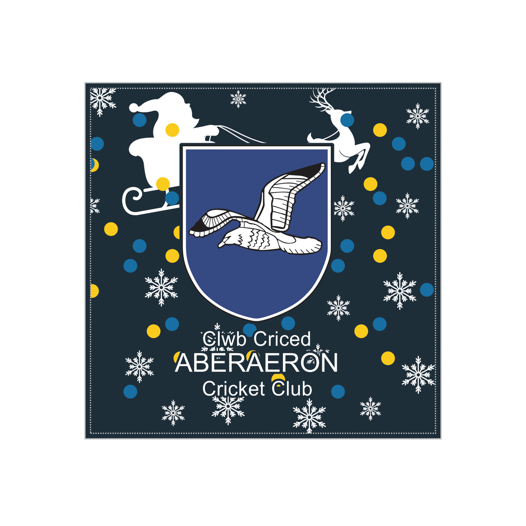 Aberaeron Cricket Christmas Cushion