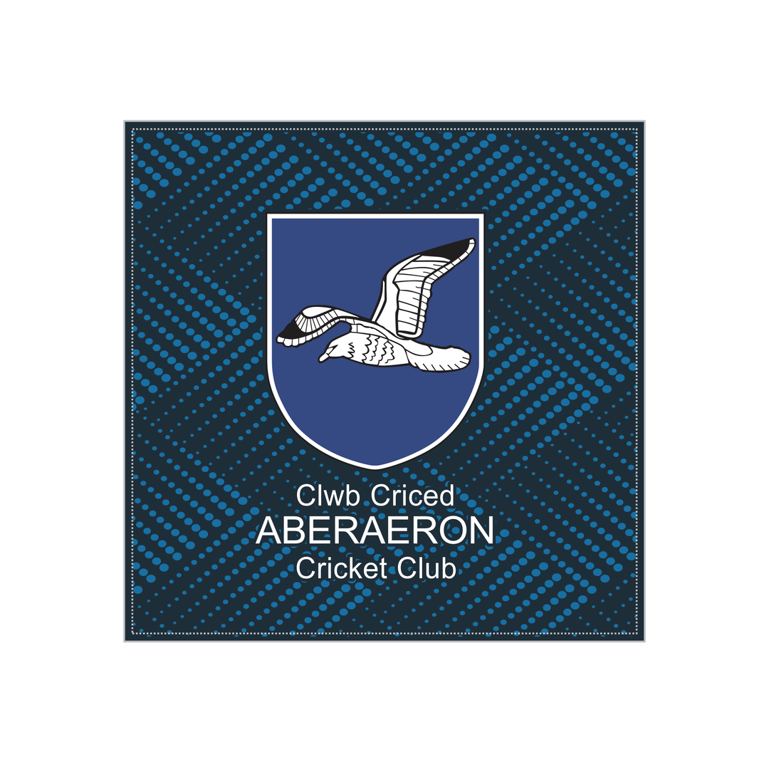 Aberaeron Cricket Cushion