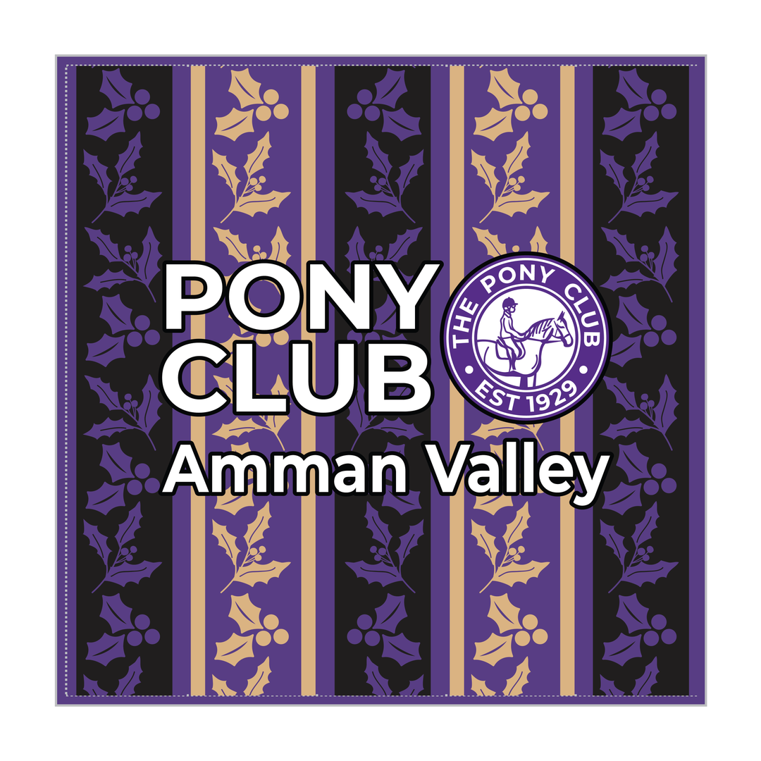Amman Valley Pony Club Christmas Cushion