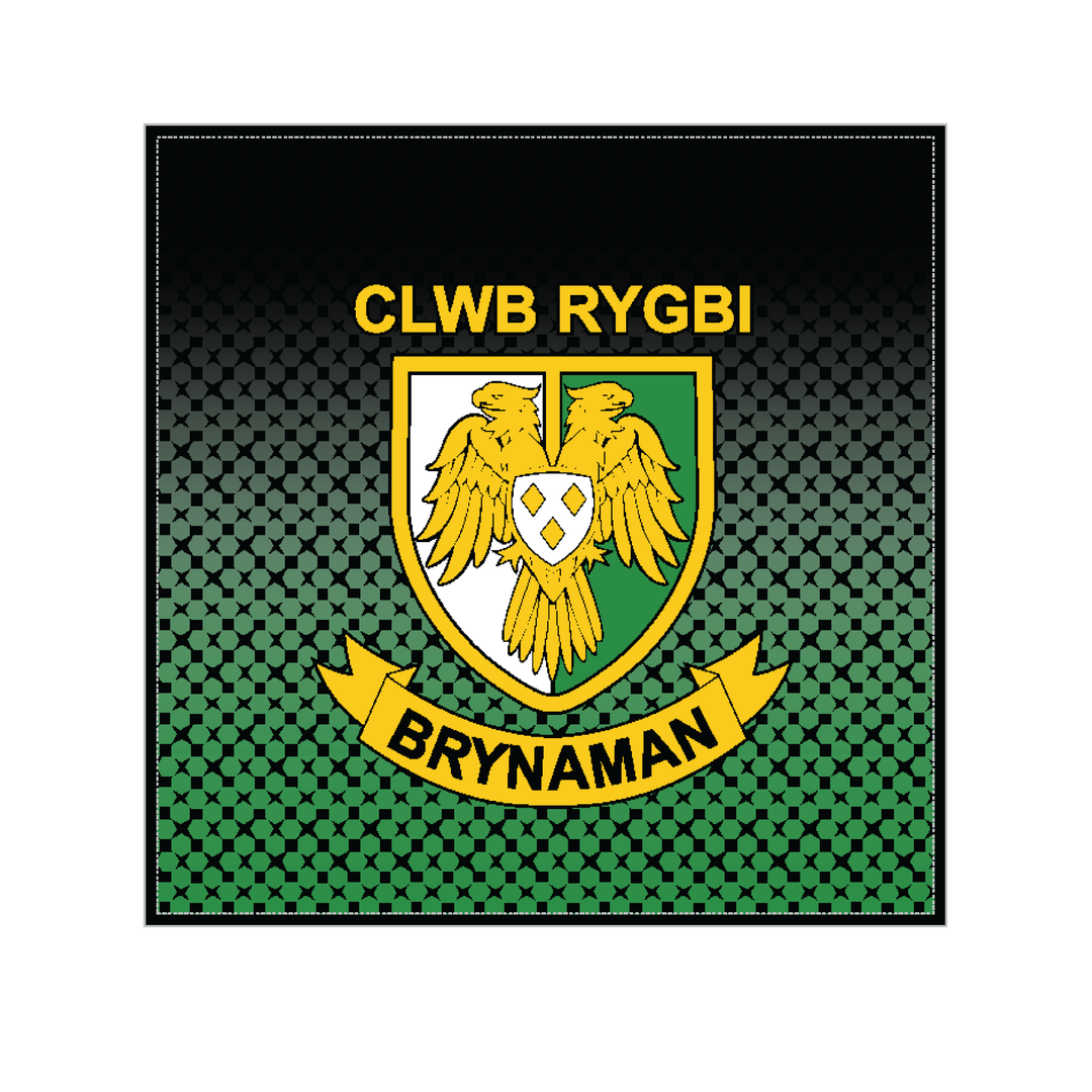 Brynamman RFC  Cushion