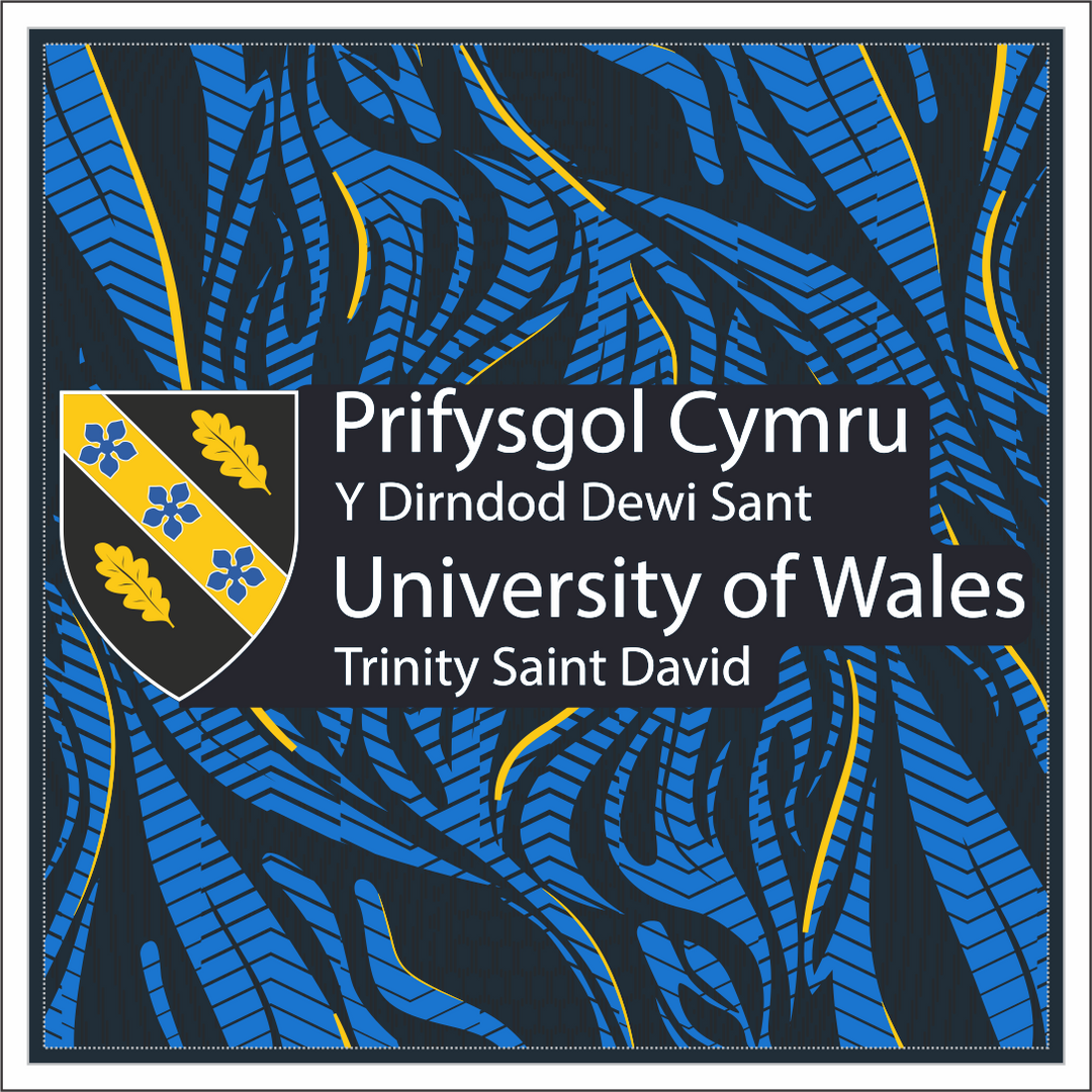 UWTSD Sports Academy Cushion