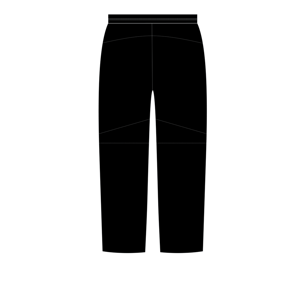 Clwb Criced Llambed PRO Cricket Pants