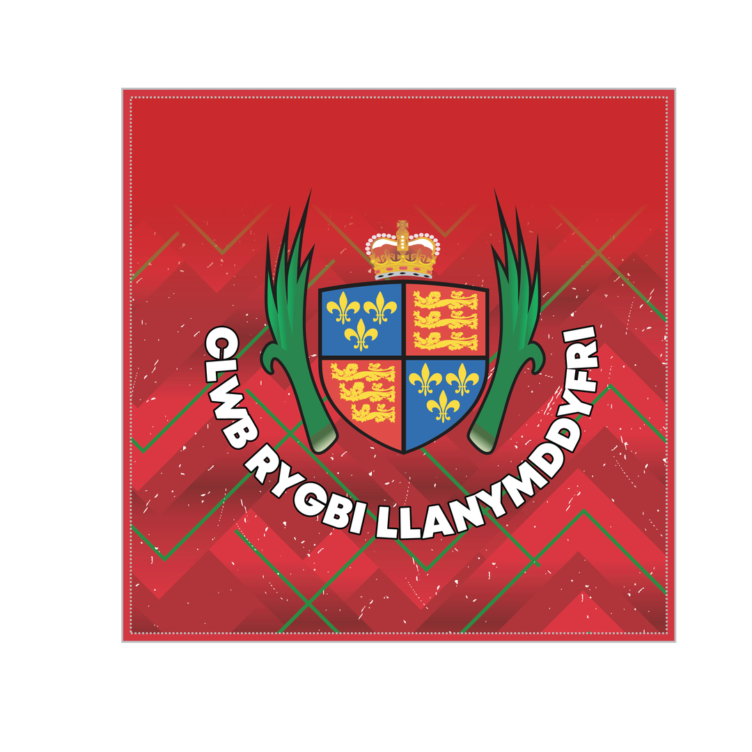 Llandovery RFC Cushion
