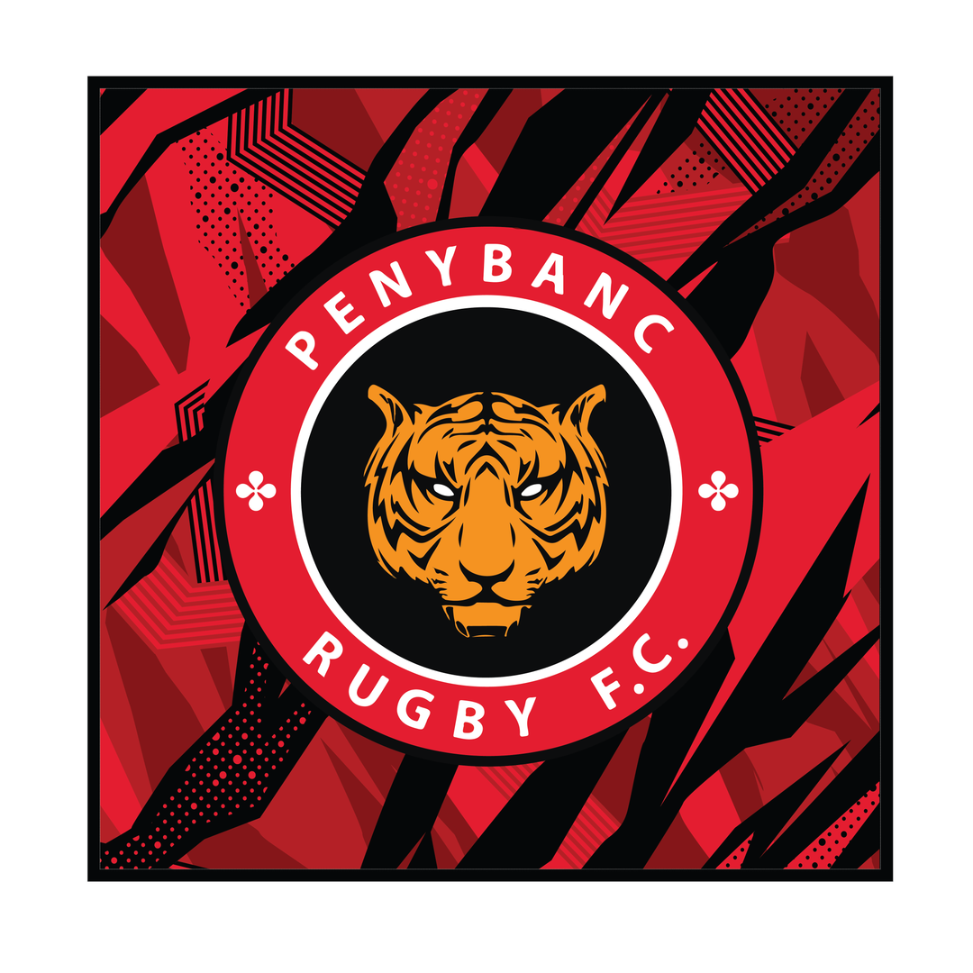 Penybanc RFC Cushion