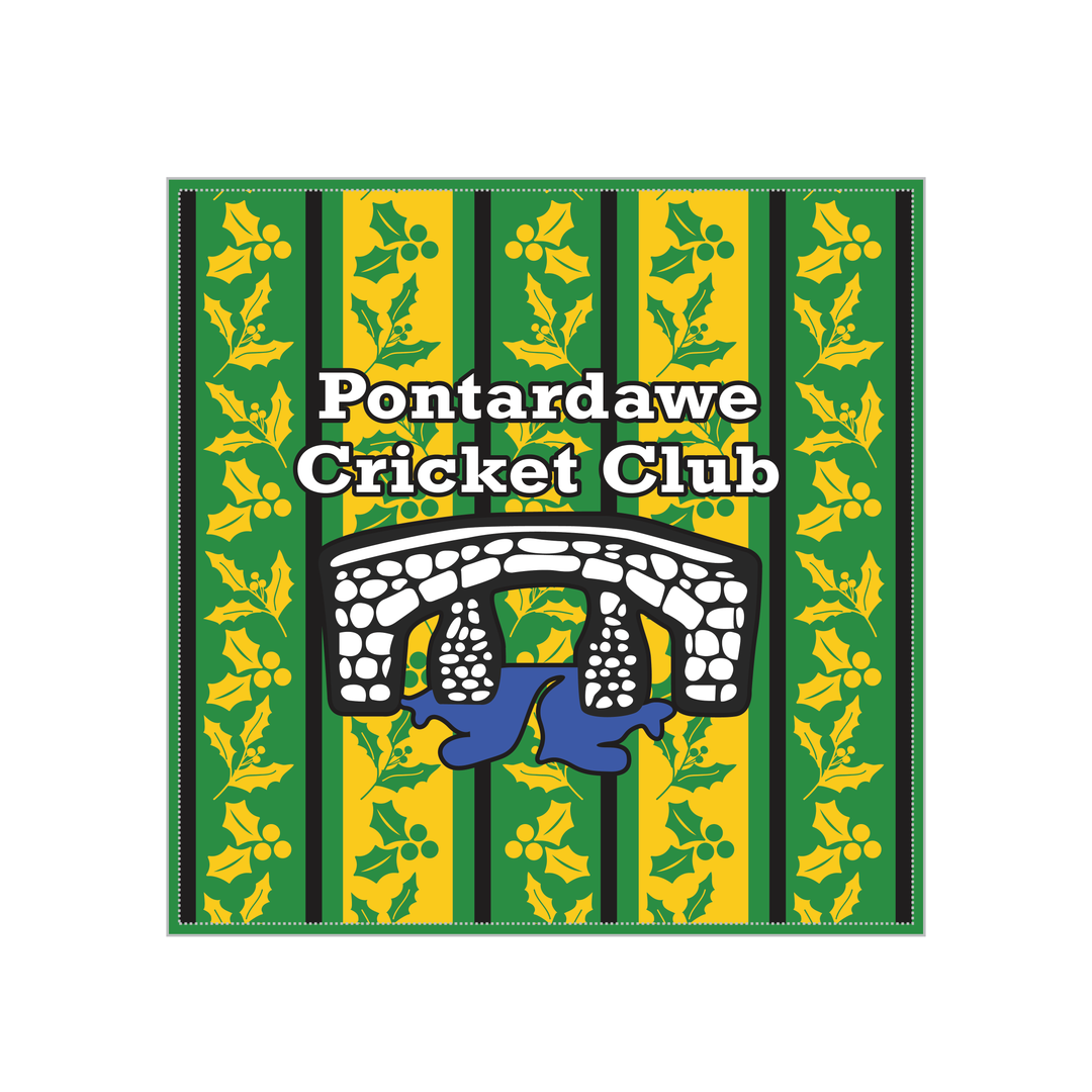 Pontardawe Cricket Christmas Cushion