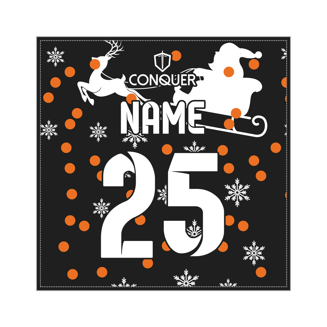 Cheetahs Invitational Christmas Cushion