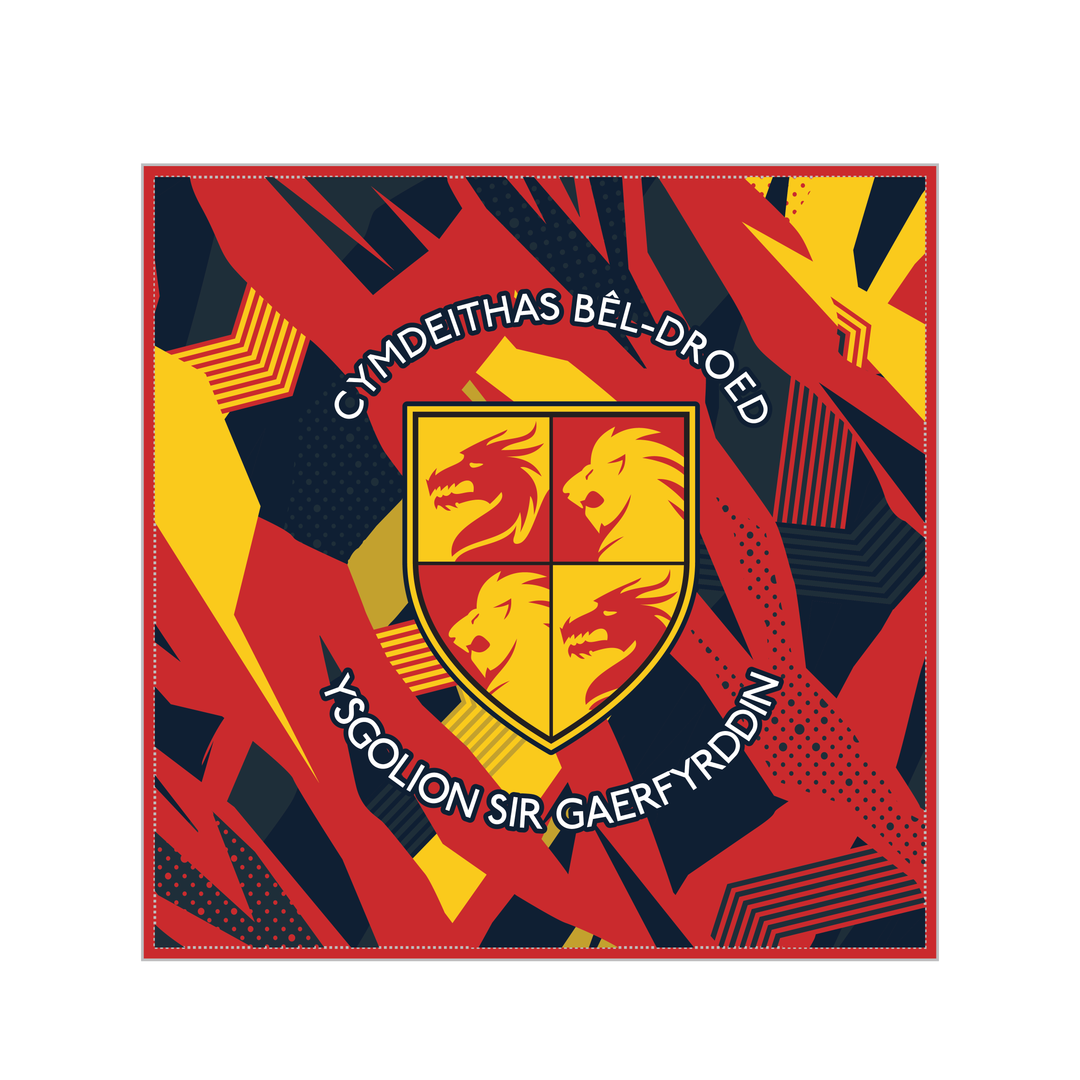 CSFA Boys Cushion
