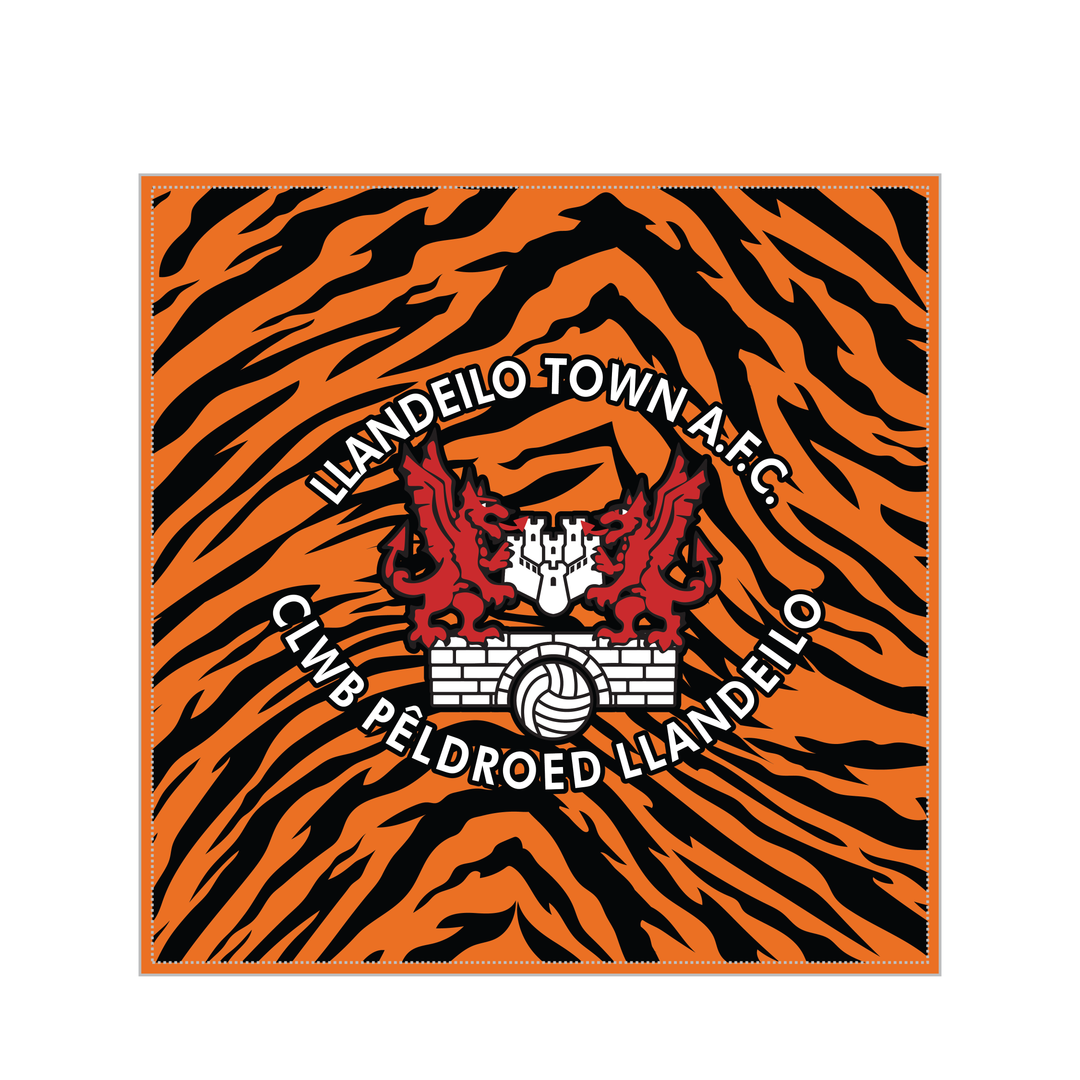 Llandeilo AFC Cushion
