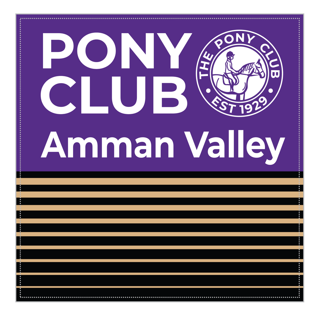 Amman Valley Pony Club Cushion