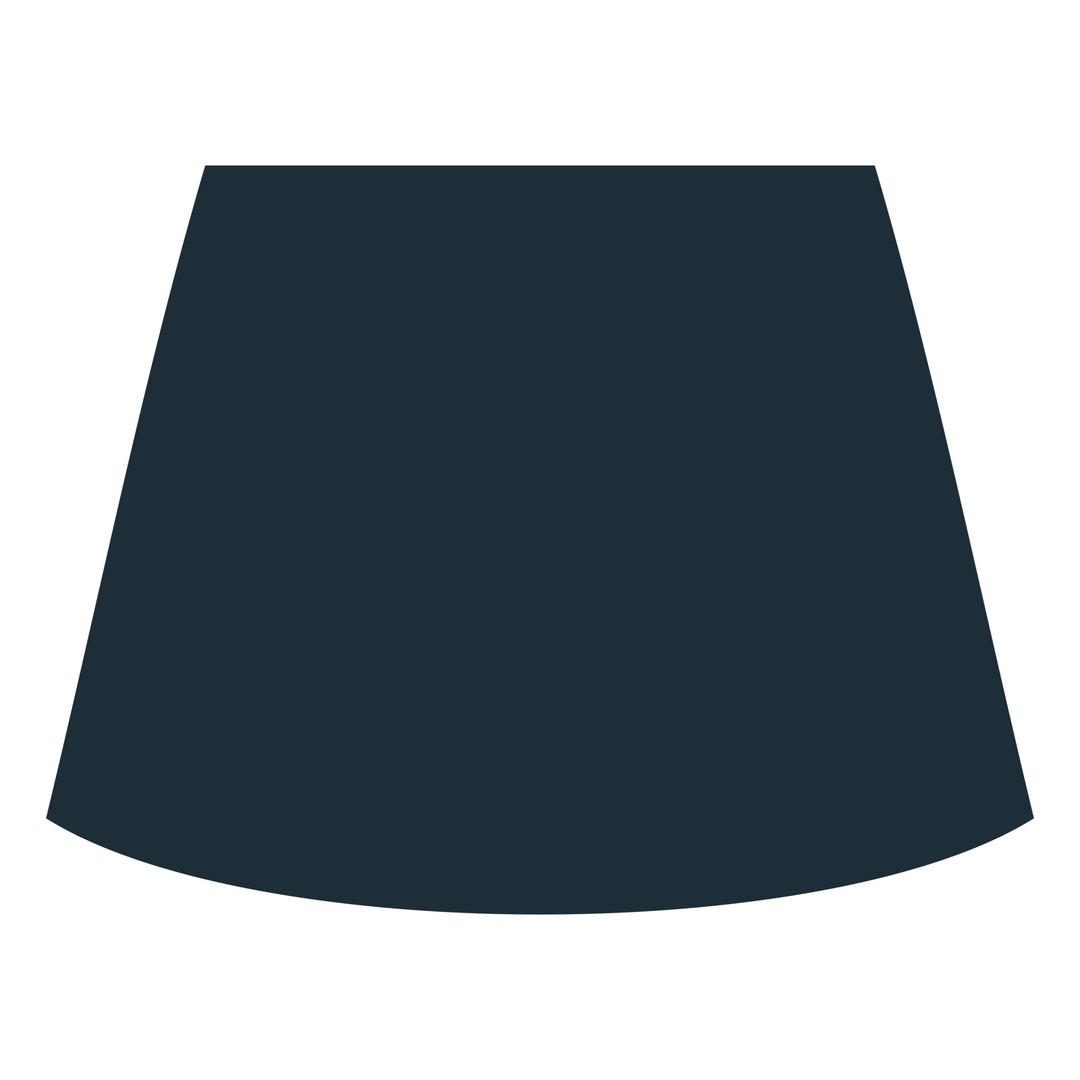 Rainham School for Girls Skort