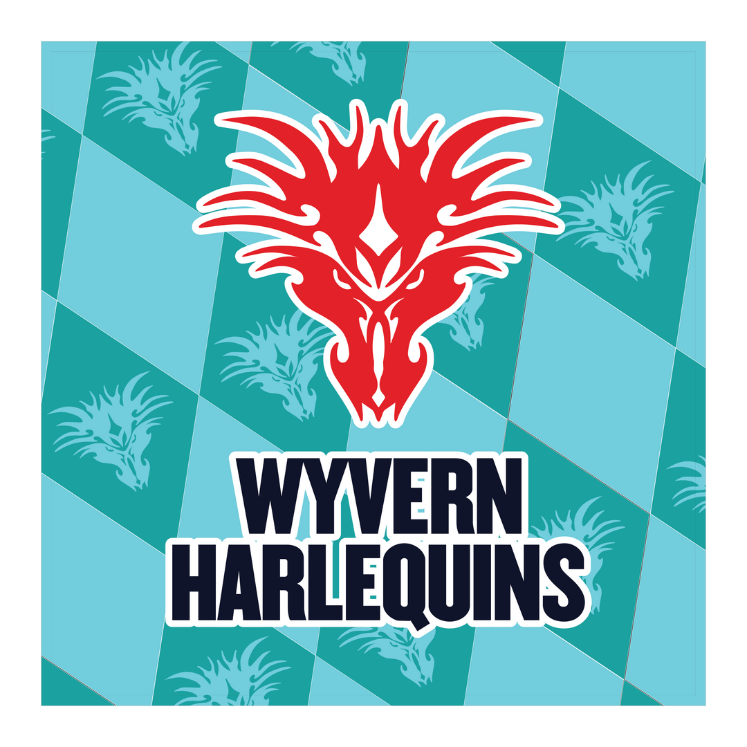 Wyvern Harlequins Cushion